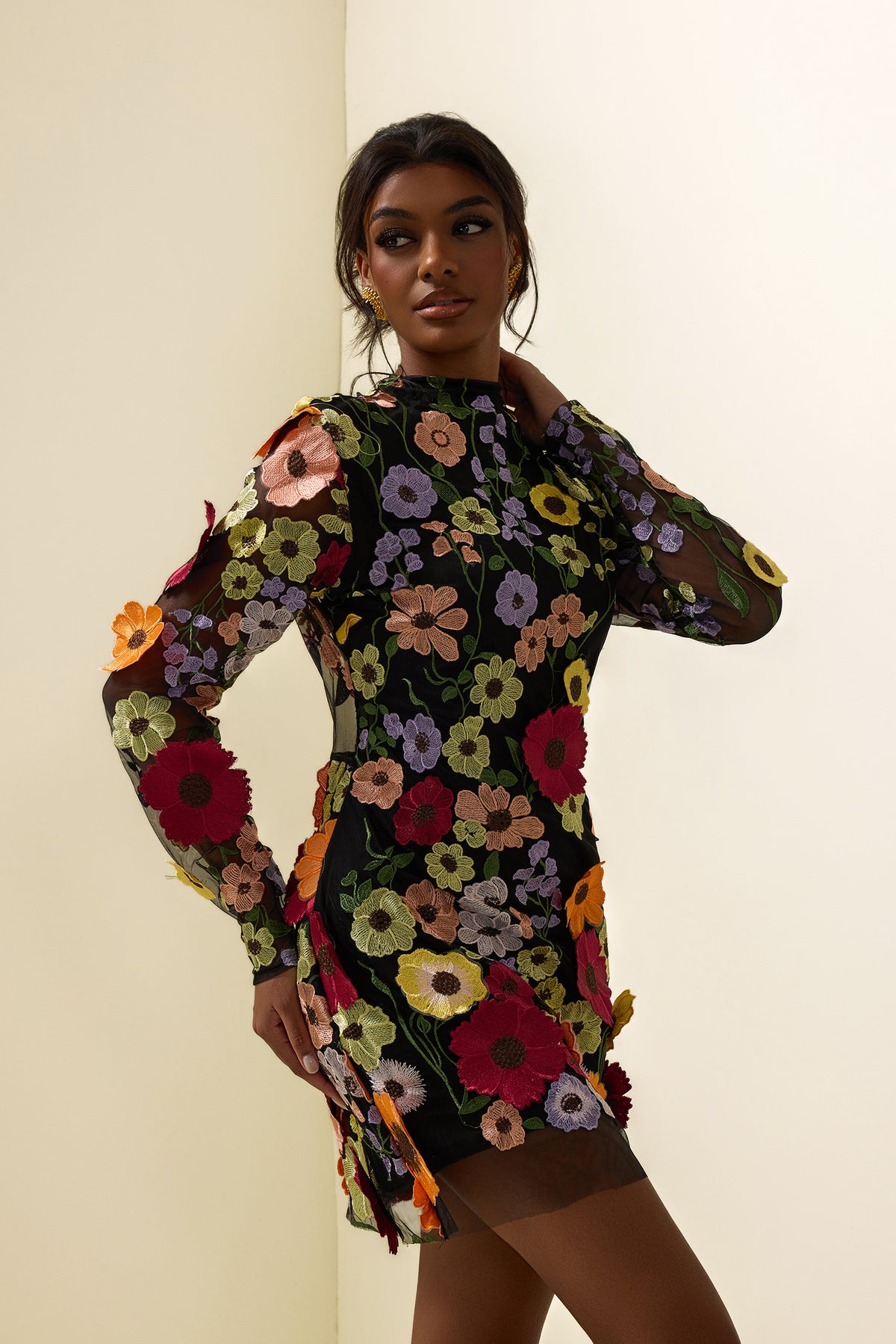 Floral Embroidered Long Sleeve Mini Dress