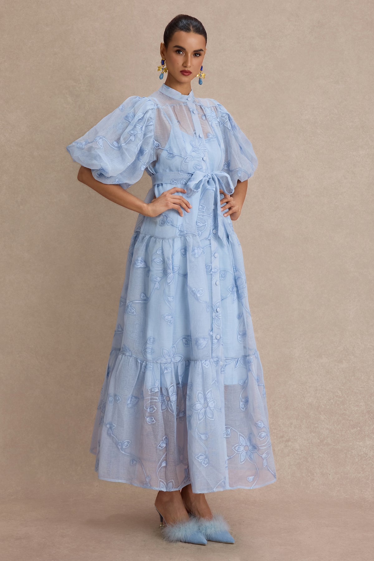 Embroidered Puff Sleeve Single Breasted Maxi Dress