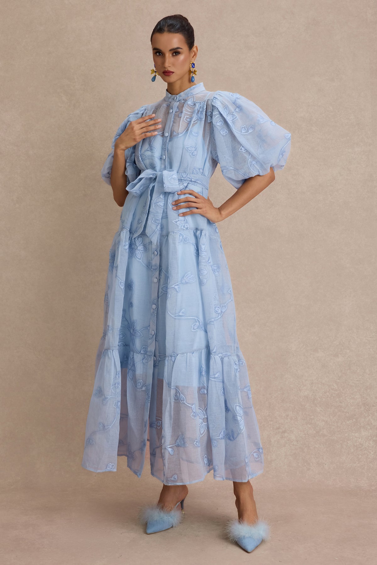 Embroidered Puff Sleeve Single Breasted Maxi Dress