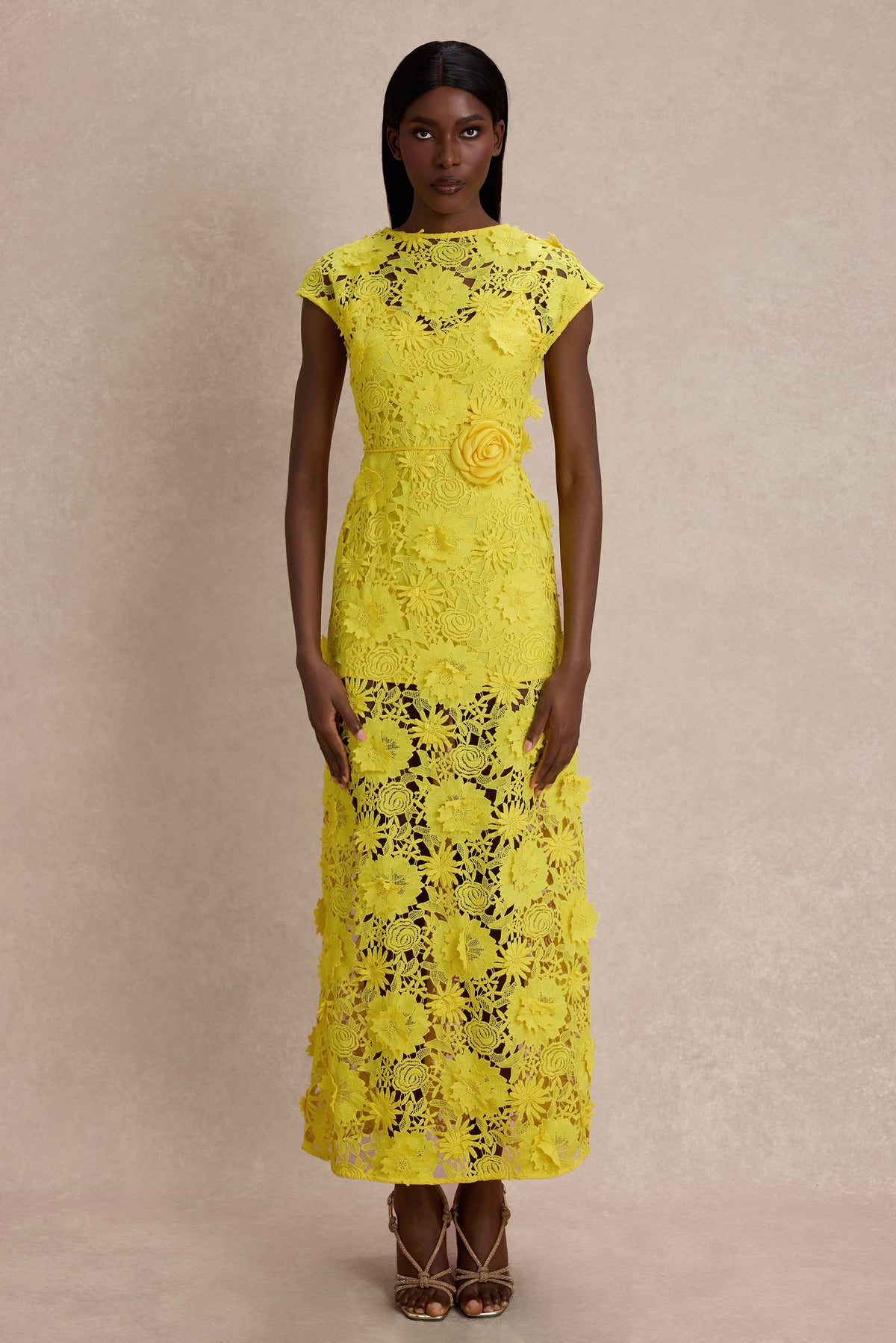 3D Flower Lace Round Neck Midi Dress