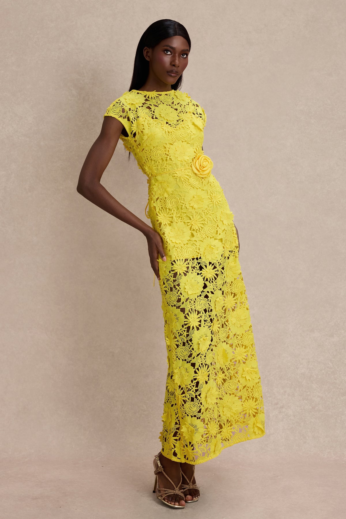3D Flower Lace Round Neck Midi Dress