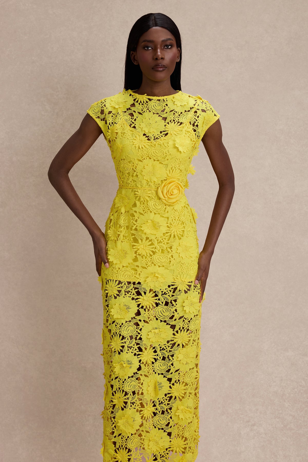 3D Flower Lace Round Neck Midi Dress
