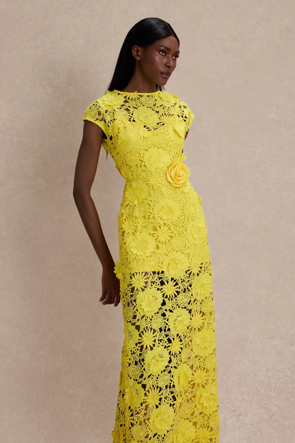 3D Flower Lace Round Neck Midi Dress