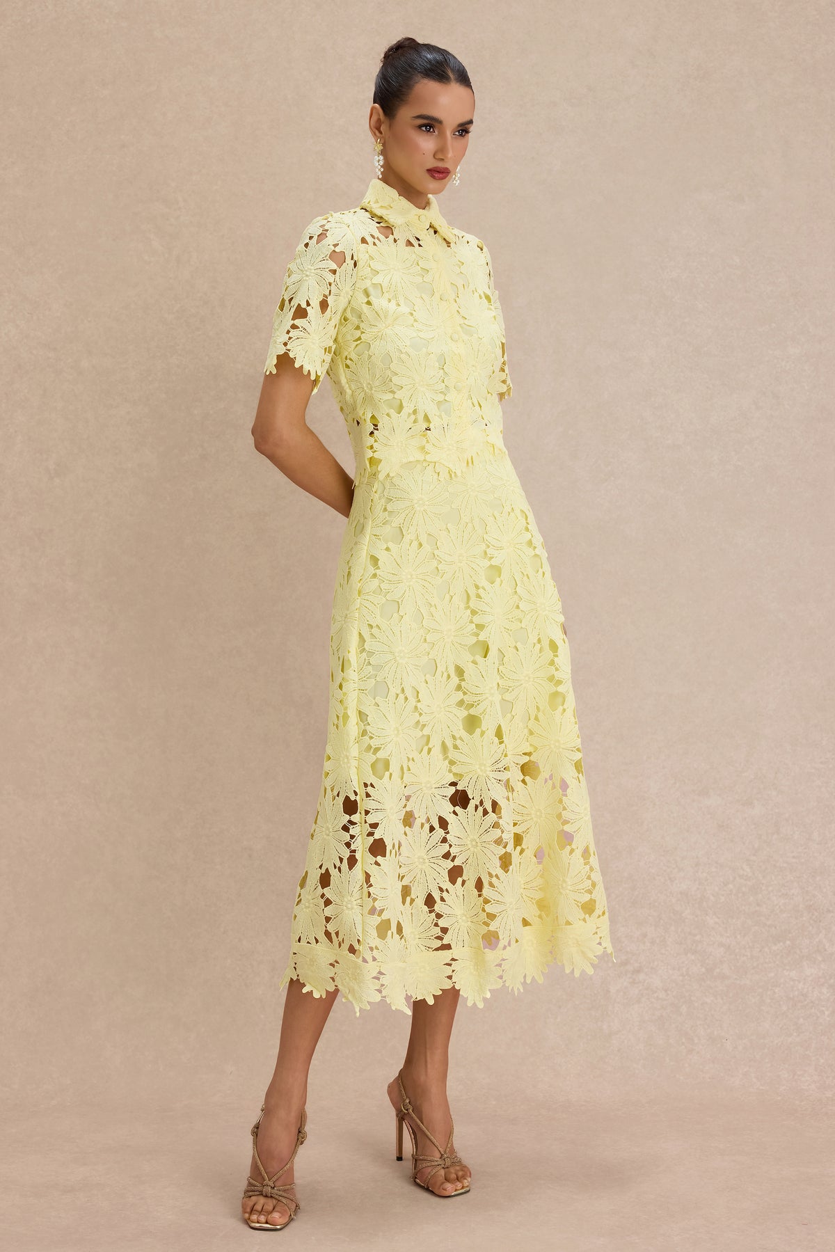 Lace Shirt Collar Single Breasted Top & Midi Skirt Set