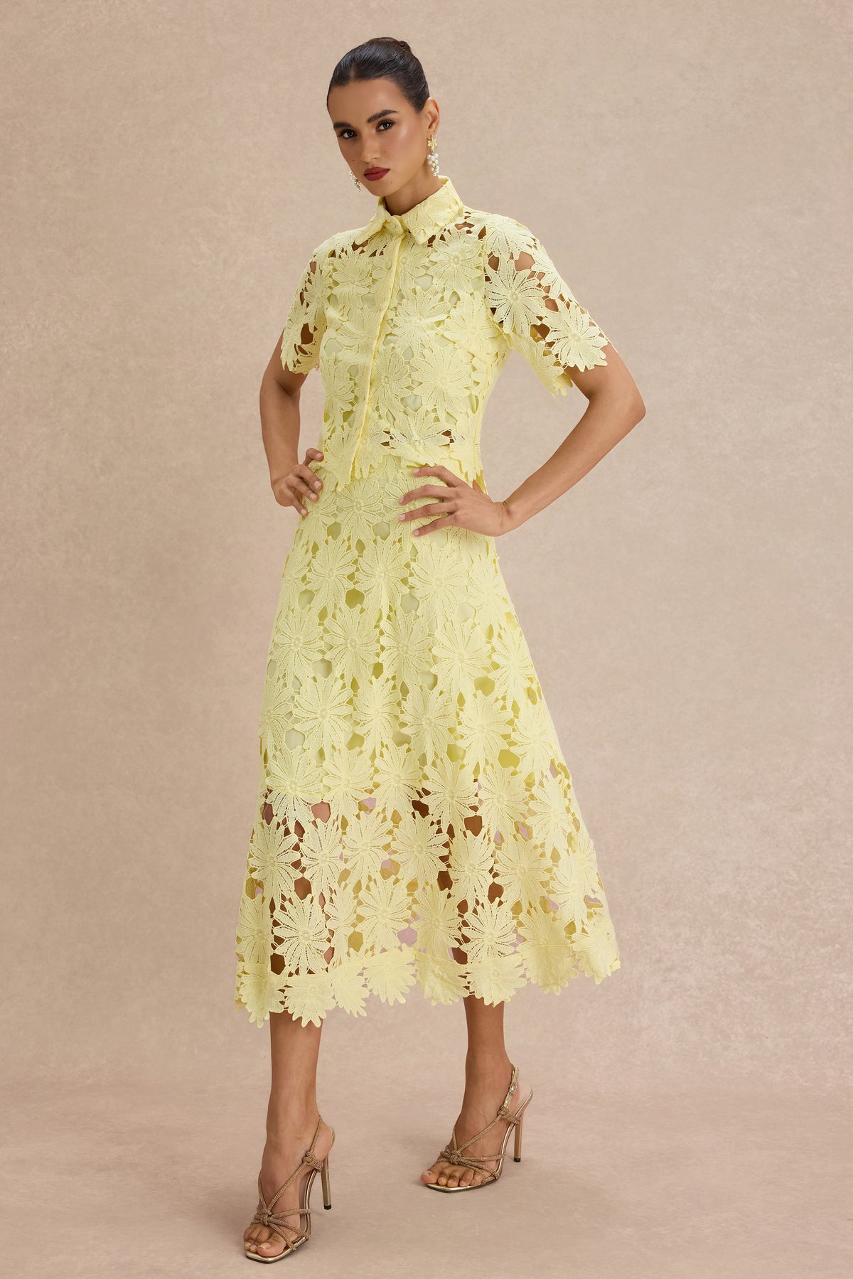 Lace Shirt Collar Single Breasted Top & Midi Skirt Set