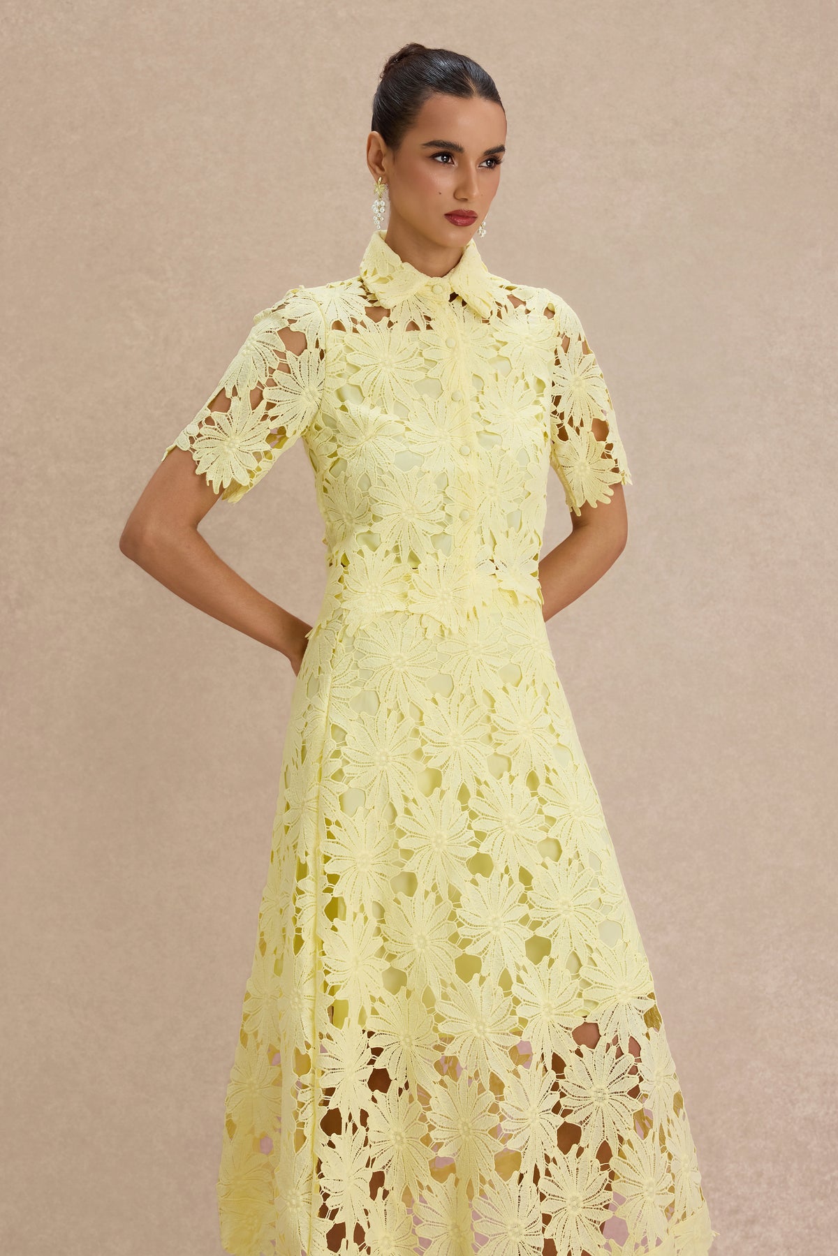 Lace Shirt Collar Single Breasted Top & Midi Skirt Set