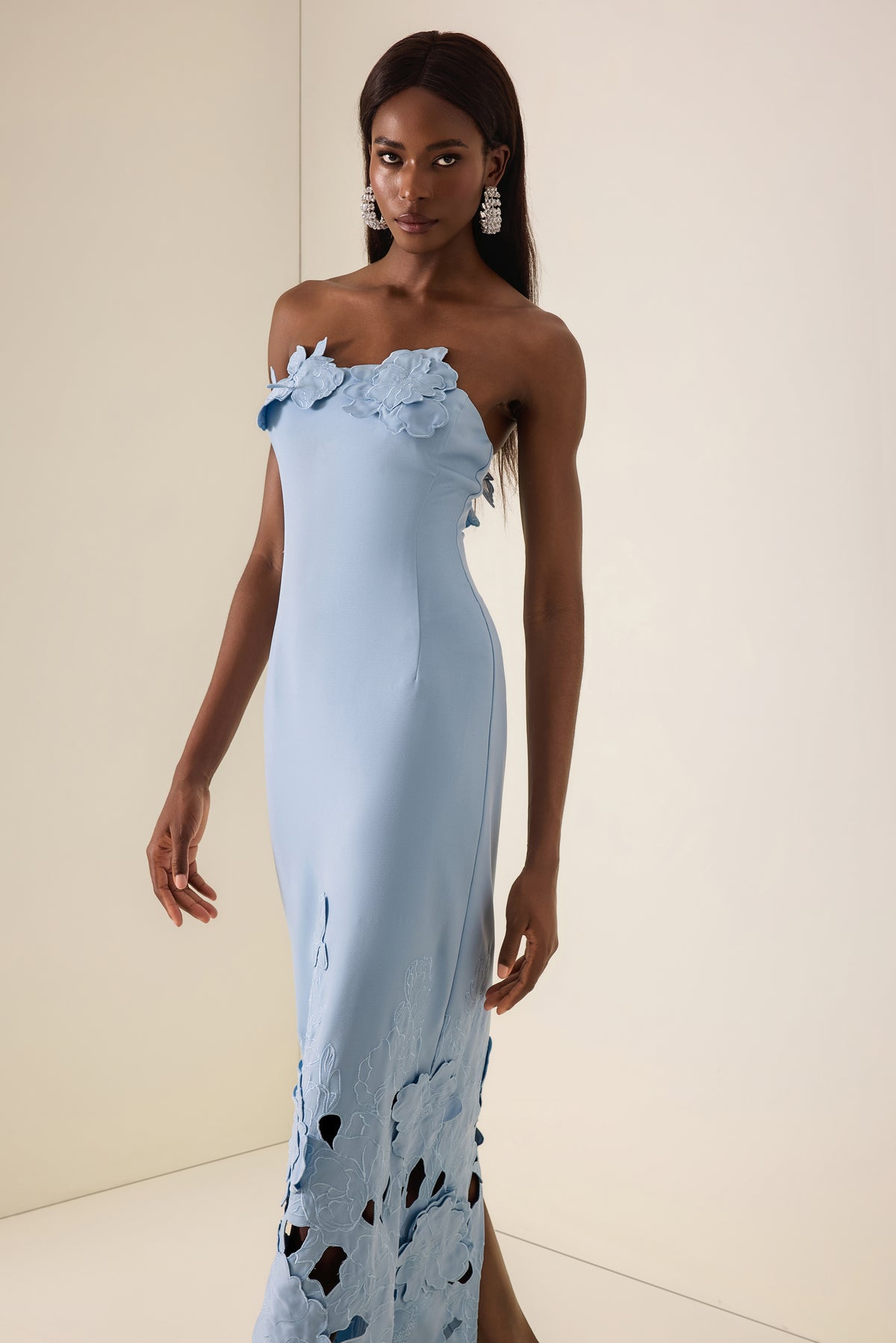 Off-Shoulder Floral Appliquéd Midi Dress