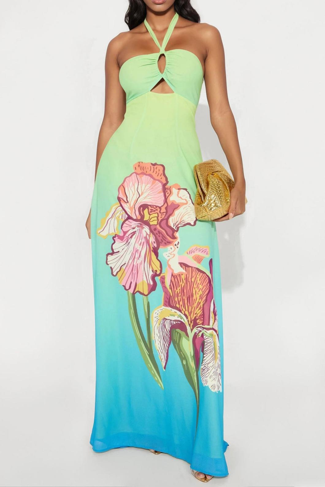 Floral Ombre Halter Neck Maxi Dress