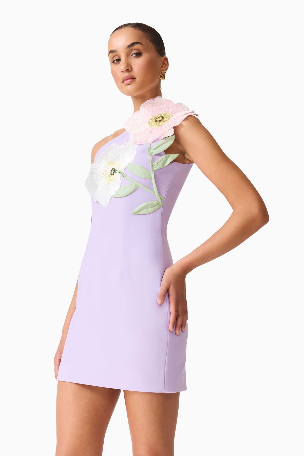 Embroidered One Shoulder Mini Dress