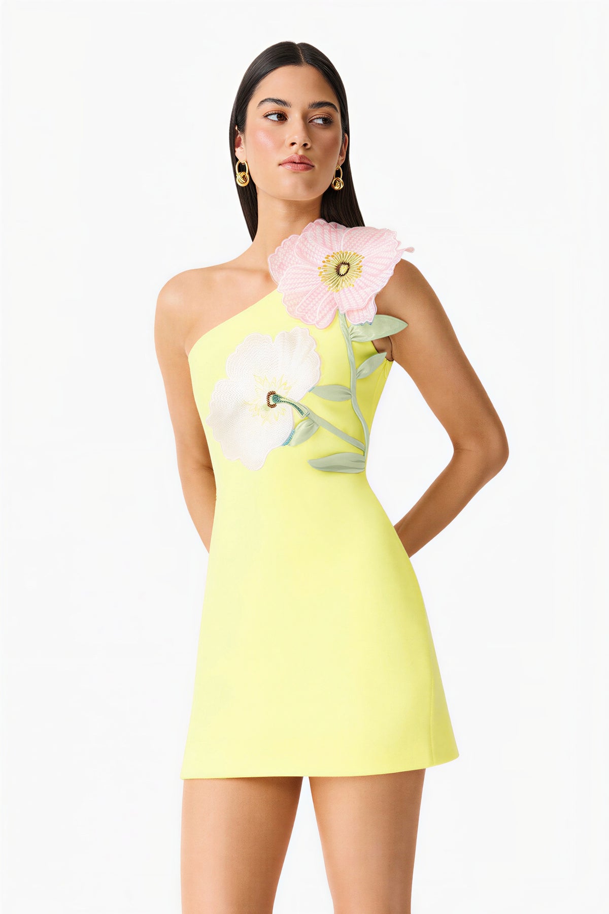 Embroidered One Shoulder Mini Dress