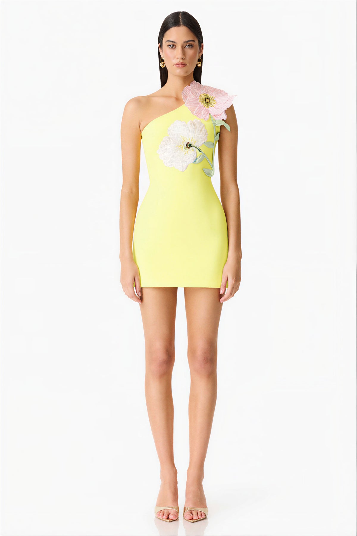 Embroidered One Shoulder Mini Dress