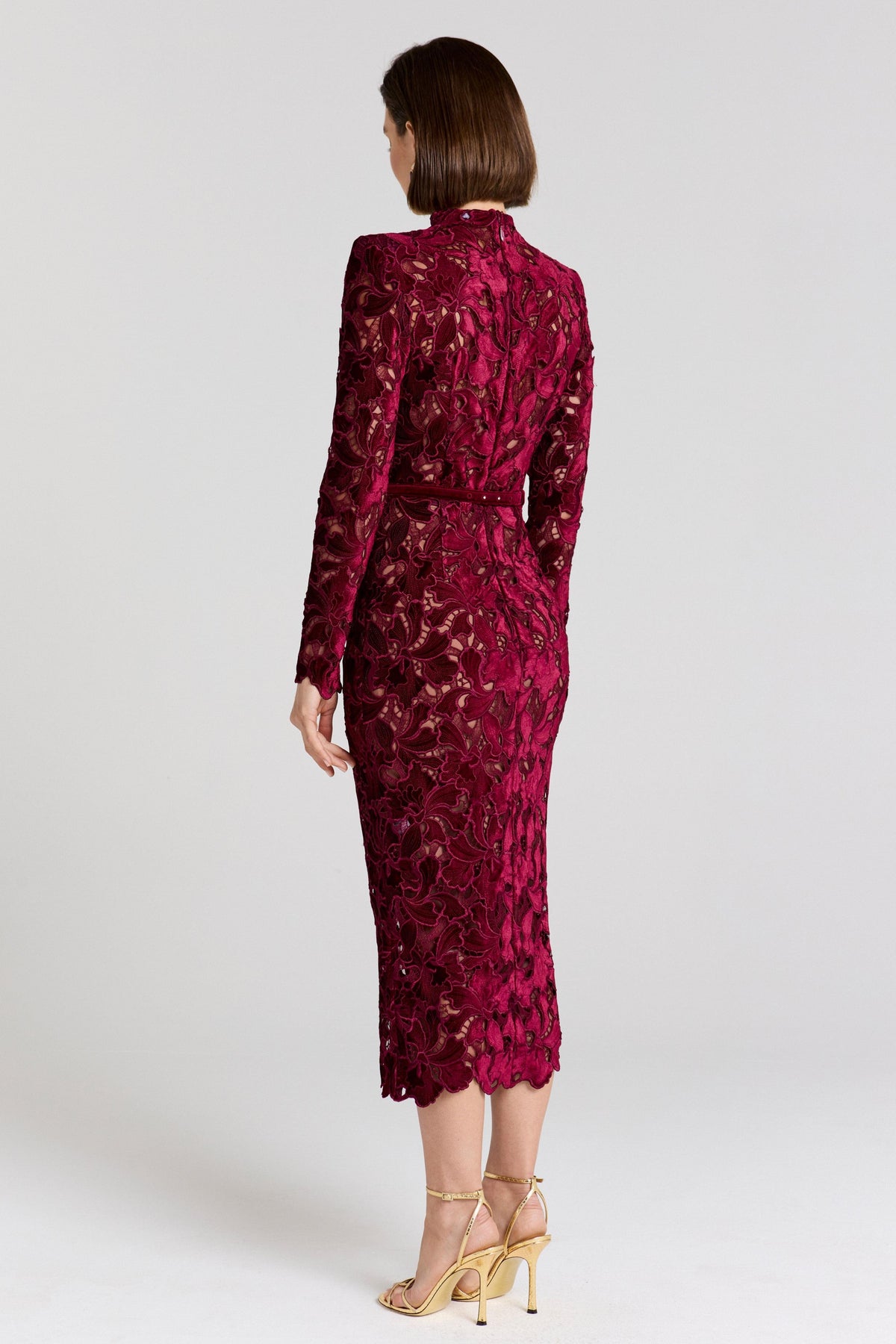 Velvet Embroidered Long Sleeve Midi Dress