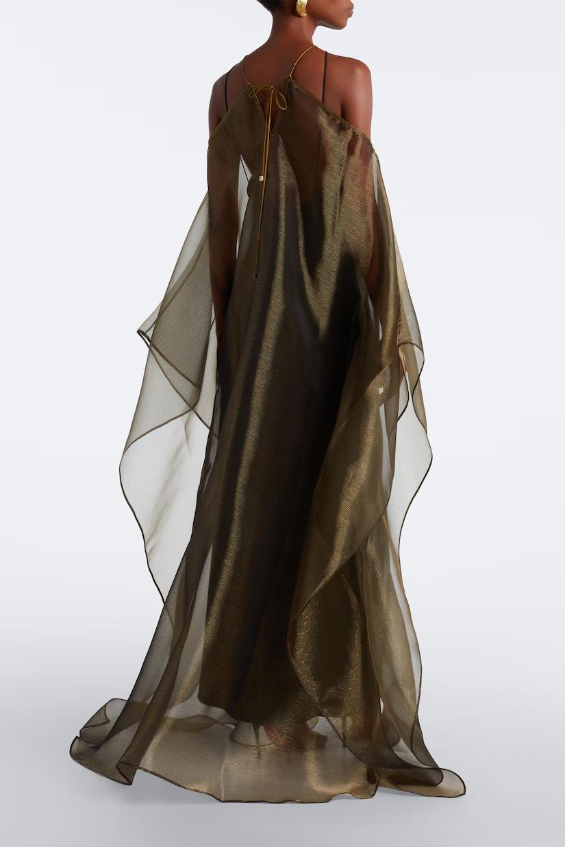 Solid Slip Maxi Dress & Organza Kaftan Set
